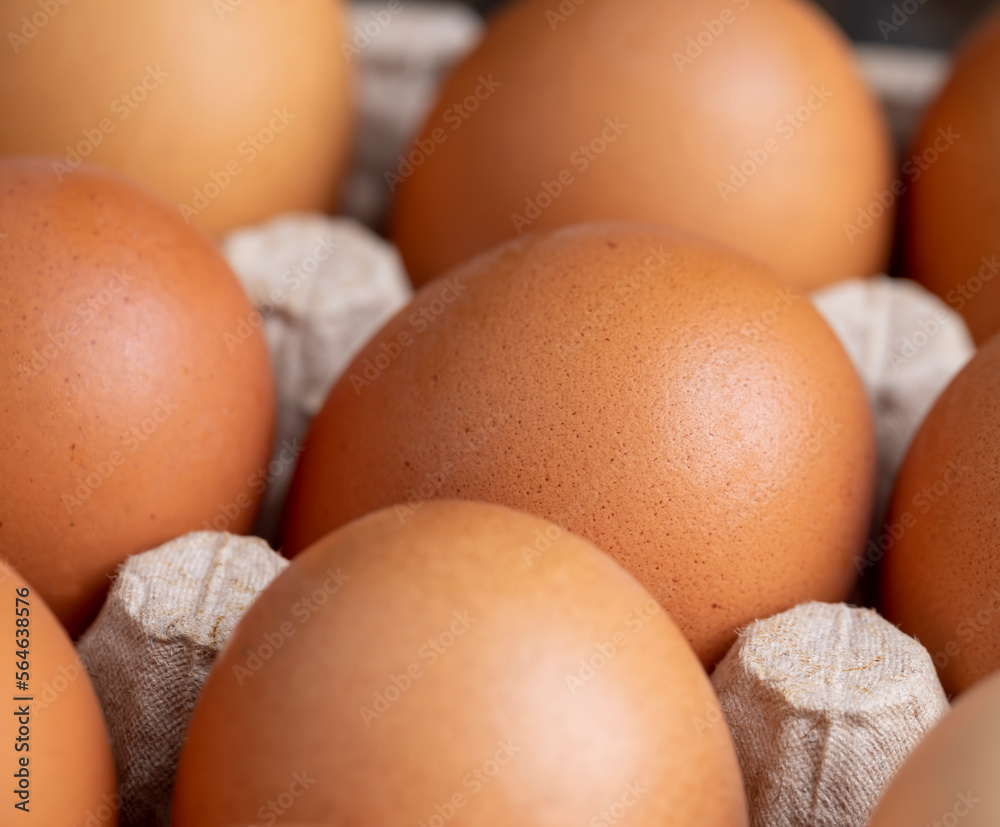 Yellow Chicken Eggs Packed for Storage Yellow Chicken Eggs Packed for Storage