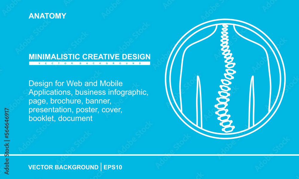 Spine in linear style. illustration of Vertebral, anatomy concept ...