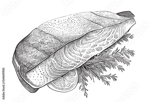 Salmon fish steak with lemon and greenery retro sketch hand drawn line art Vector illustration