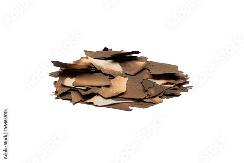 Burnt paper isolated on a white background.