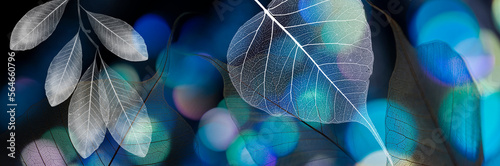 leaf texture, leaf with veins and cells and light bokeh