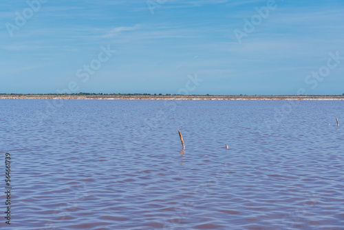 Pink salt lake at Salin d’Aigues-Mortes, South France © Sen