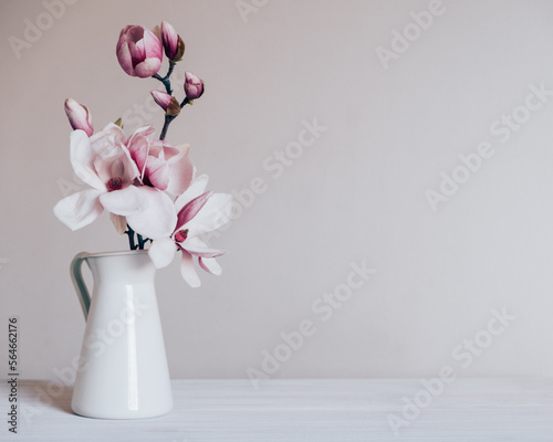 Beautiful fresh branches of magnolia flowers in full bloom in vase against white background. Minimalistic spring light and airy still life. Copy space for text.