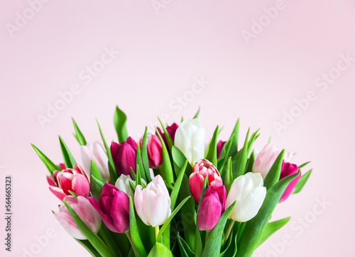 Fototapeta Naklejka Na Ścianę i Meble -  Beautiful romantic bouquet of pink and white tulips on a pale pink background.