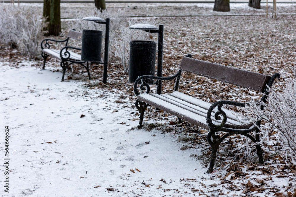 Zamrożona ławka, siedzenia i śmietniki w parku zimą - obrazy, fototapety, plakaty 