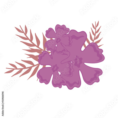 Fototapeta Naklejka Na Ścianę i Meble -  purple mini flower
