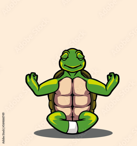 Turtle doing yoga