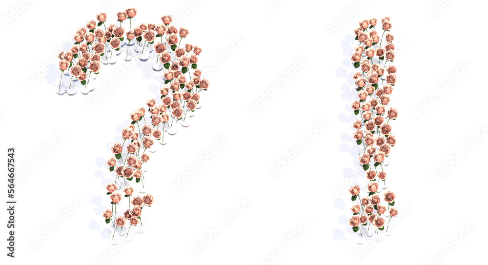 Concept conceptual set of beautiful blooming pink, roses bouquets forming the ? and ! signs. 3d illustration metaphor for education, design and decoration, romance and love, nature, spring or summer. Concept conceptual set of beautiful blooming pink, roses bouquets forming the ? and ! signs. 3d illustration metaphor for education, design and decoration, romance and love, nature, spring or summer.