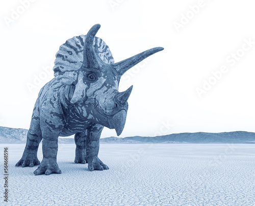 triceratops in the desert on the afternoon with copy space © DM7