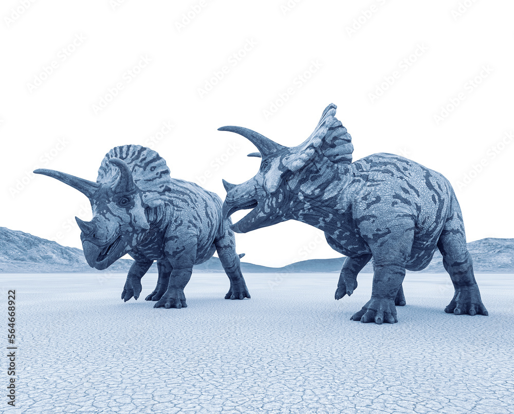 two triceratops are walking in the desert on the afternoon