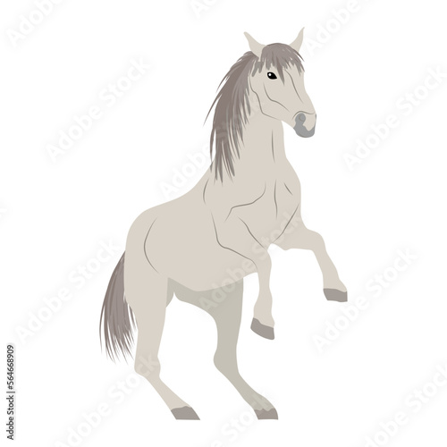The white horse reared up. Realistic vector animal