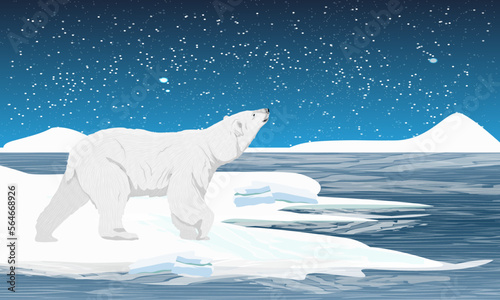 A polar bear stands on the ocean and looks at the stars. Cold snowy night in the Far North. Wild animals of the Arctic and the North Pole. Realistic vector landscape