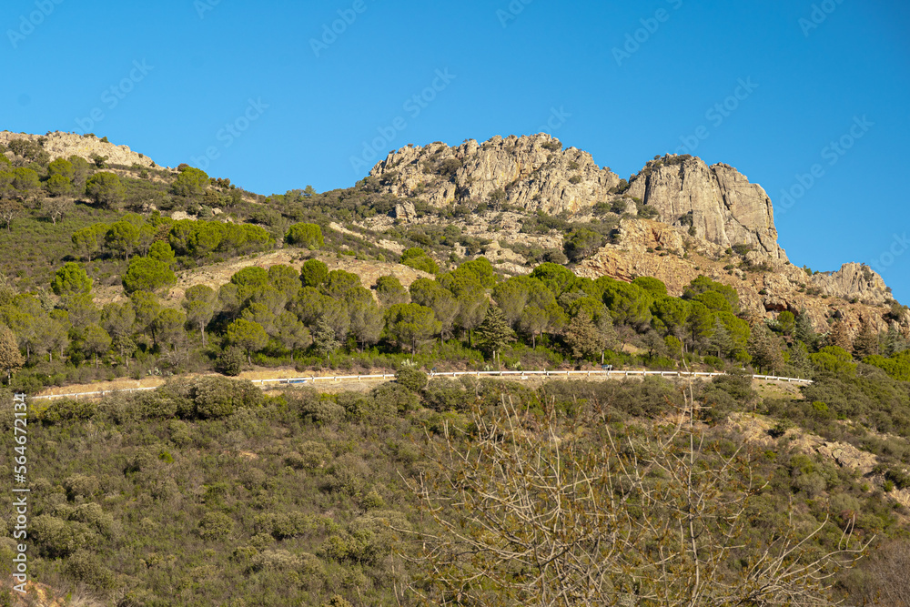 Paisaje de montaña con arboles y rocas. Paisaje de montaña con arboles y rocas.