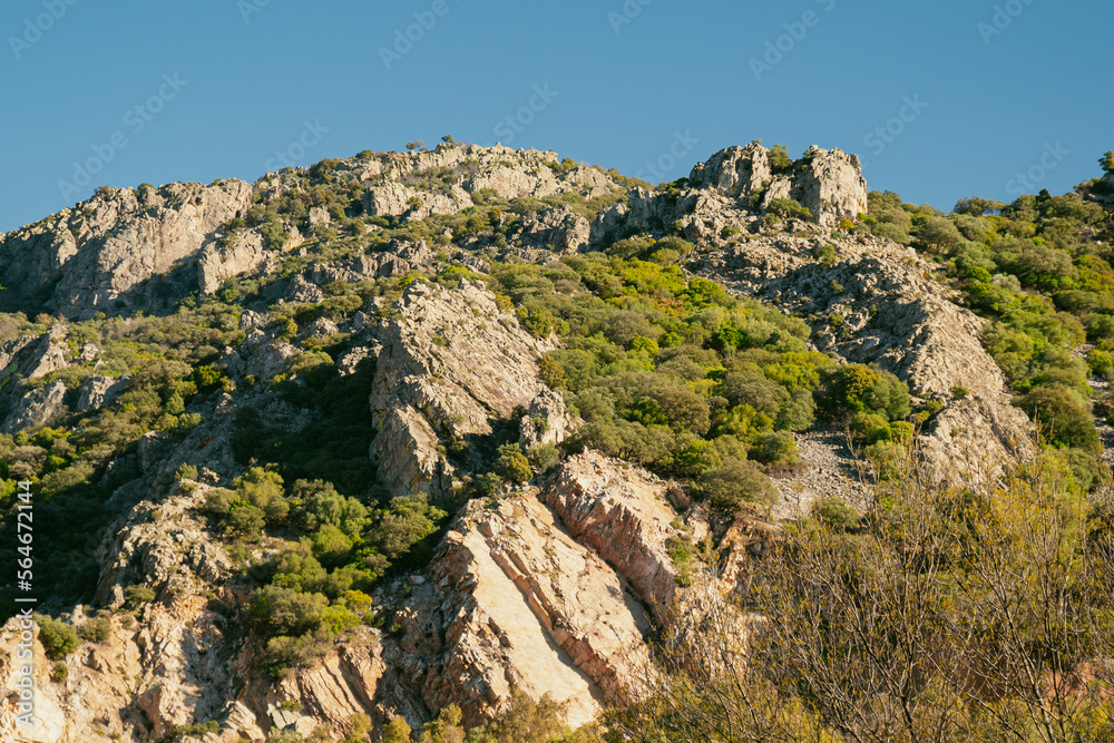 Paisaje de montaña con arboles y rocas.