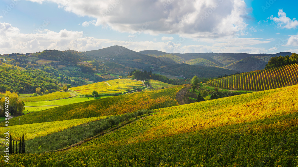 Radda in Chianti landscape, vineyards in autumn. Tuscany, Italy
