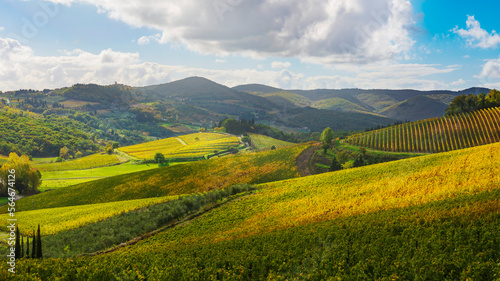 Radda in Chianti landscape  vineyards in autumn. Tuscany  Italy