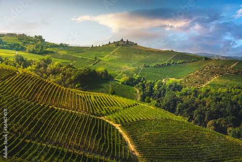 Vineyards on the Langhe hills in the morning, Piedmont, Italy Europe. photo