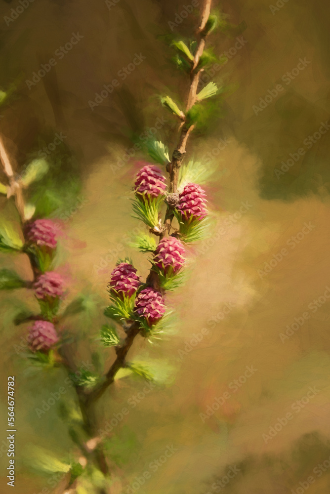 Digital painting of young conifer pine cone shoots isolated in a natural environment.