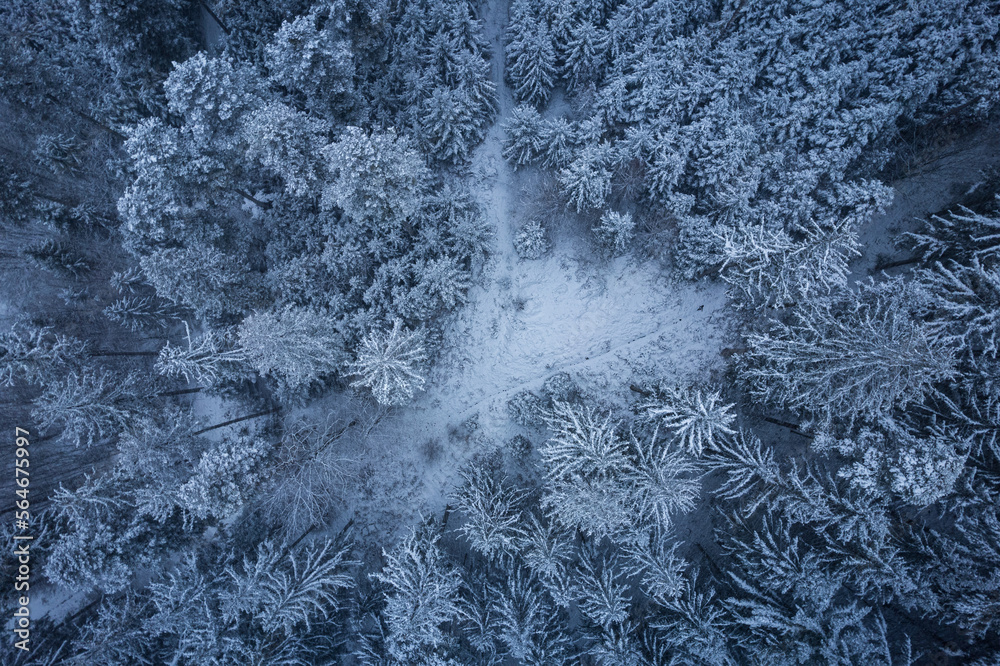 Fototapeta premium pattern on window