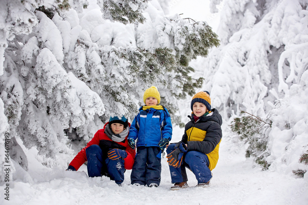 Sweet happy children, brothers, playing in deep snow in forest, frosted trees Sweet happy children, brothers, playing in deep snow in forest, frosted trees