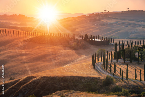 Road with cypresses on sunset in Tuscany  Italy