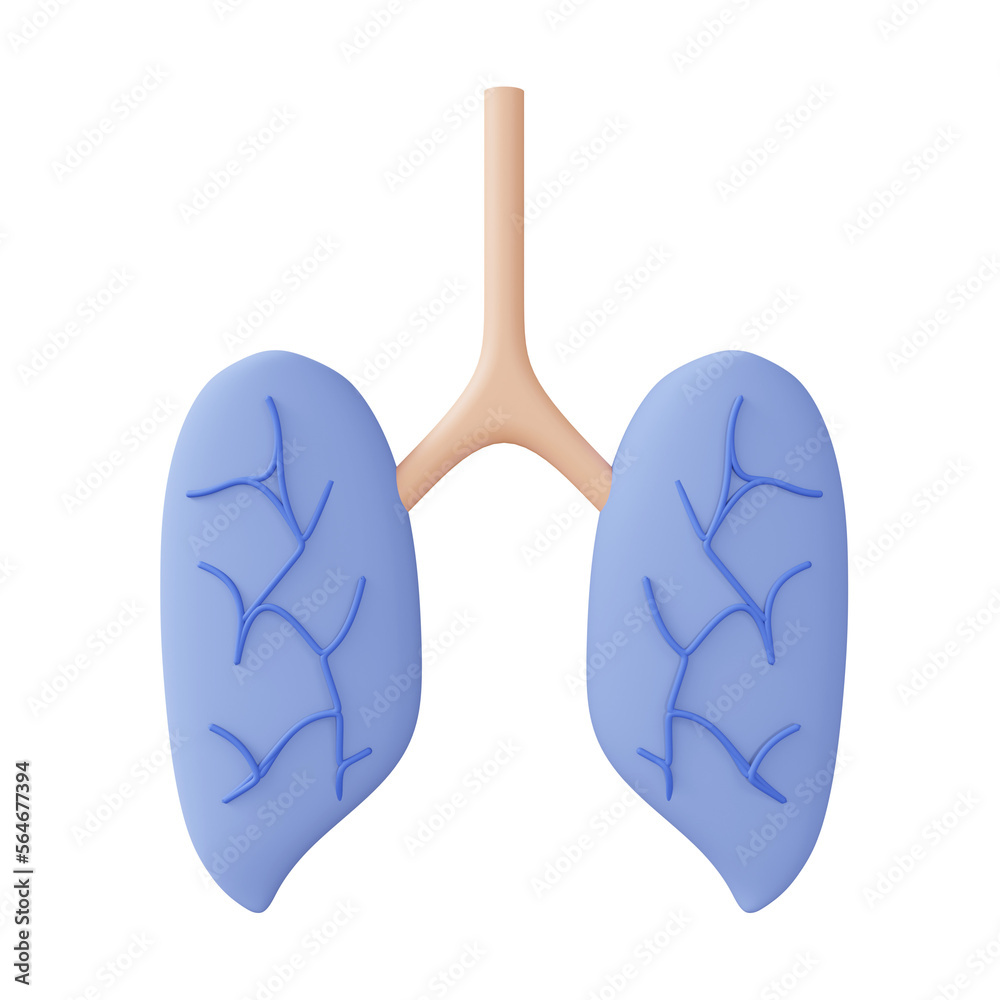 Fototapeta premium lung