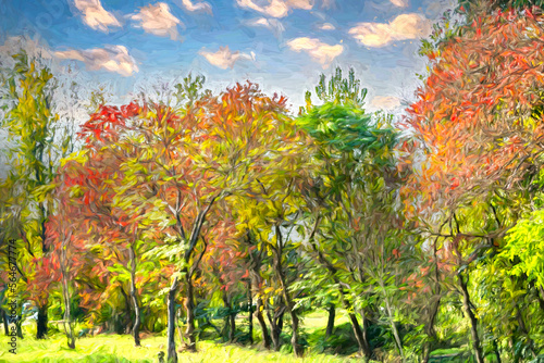Fototapeta Oil painting of Autumn Trees - Van Gogh Style