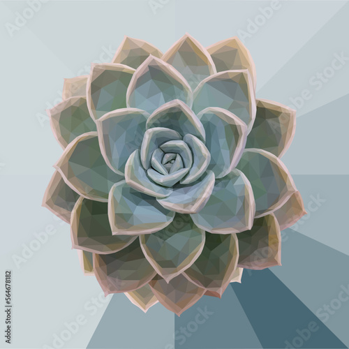 Low poly, geometrical, illustration of a teal succulent with a blue triangular background.