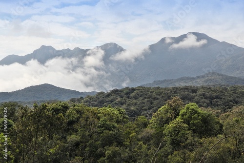 Mountains and jungle in Brazil