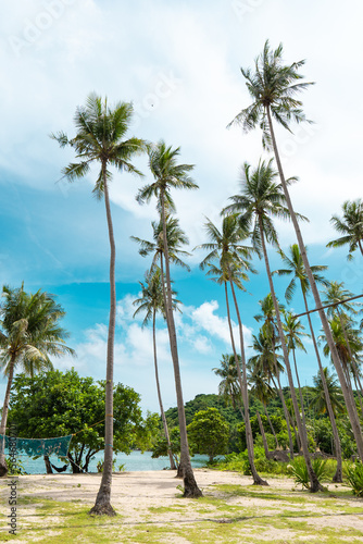 tropical palms with the background of a blue sky veiled and volleyball court in a philippines island, copy space © victor cuenca lopez