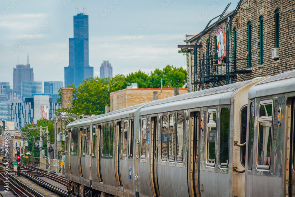 Obraz premium Train at Damen Station in Chicago