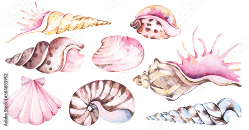 Sticker Hand drawn shellfish