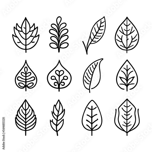 Set of different hand drawn different plants leaves. Vector outline illustration drawings on a white background. Collection of monstera, maranta, calathea, ivy, willow, cherry and other tree leaves © Oskar