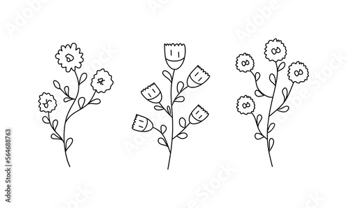 Set of Spring linear flowers. Hand drawn floral elements. Vector illustration