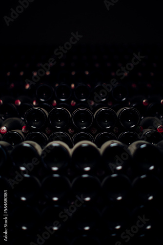 Bouteilles de Champagnes cave