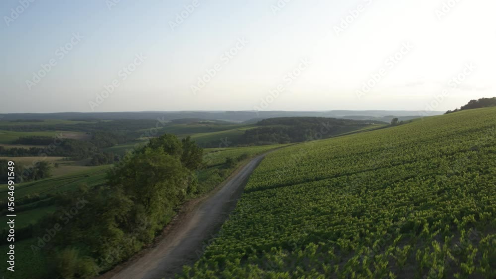 Vignoble Champagne 3 Vignoble Champagne 3