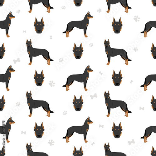 Beauceron dog, French shepherd seamless pattern