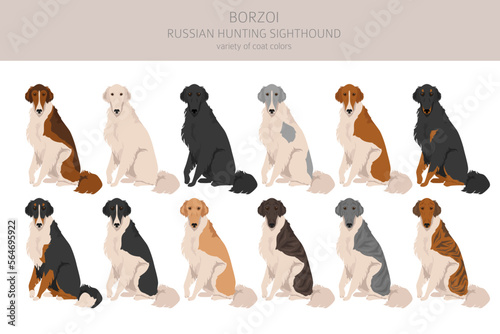 Valokuvatapetti Russian hunting sighthound Borzoi clipart