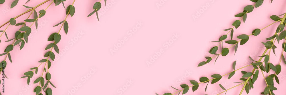 Banner with eucalyptus branches on a pink background. Creative floral composition.