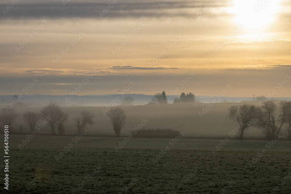 Deserted wintry landscape at sunrise with fog, hoarfrost, trees and fields