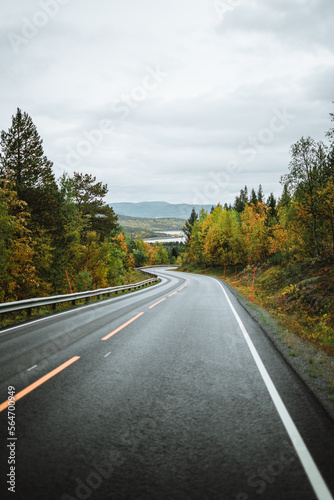 Empty road in the norwegian autumn landscape