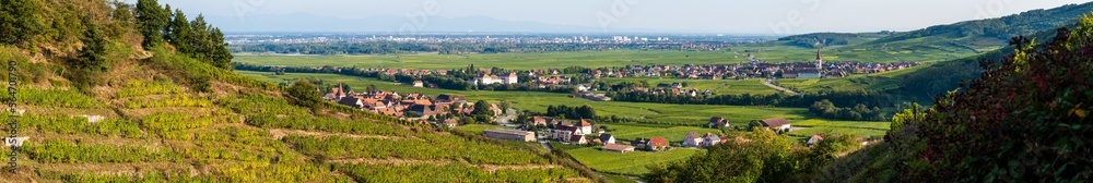 Les vignes alsaciennes depuis les coteaux de la vallée de Kaysersberg, CEA, Alsace, Grand Est, France