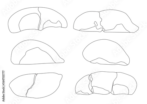 Line durian fruit black white colour and ripe durian piece on white background illustration vector. 
