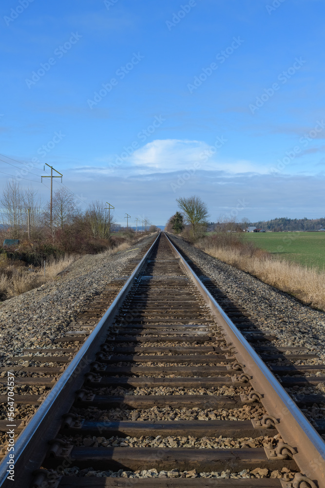 Steel railway lines converge to vanishing point on blue sky day with no people