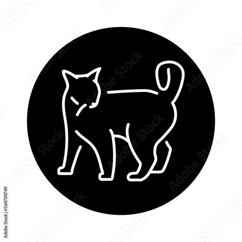 Playful cat standing color line icon. Pictogram for web page