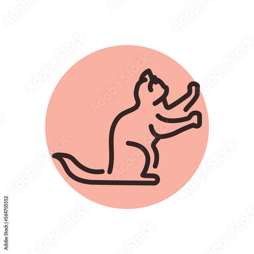 Sitting cat sharpens its claws color line icon. Pictogram for web page