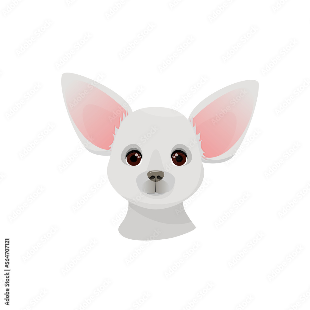 Fototapeta premium Gray head of a chihuahua dog