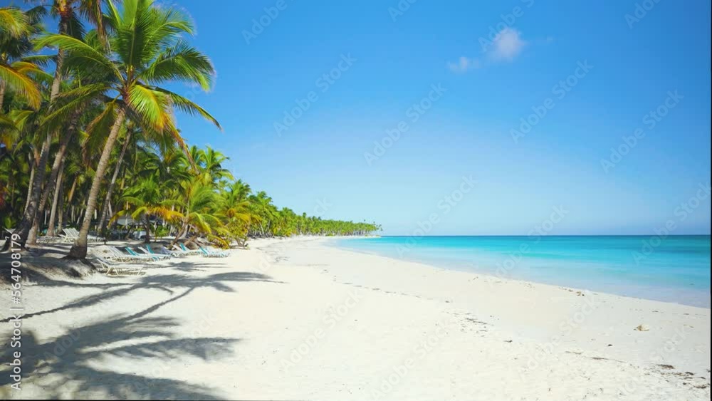 Early morning on a tropical beach with palm trees on the Caribbean coast. Sea waves on a wild sandy shore. The best place for vacation. Travel and summer vacation concept. Early morning on a tropical beach with palm trees on the Caribbean coast. Sea waves on a wild sandy shore. The best place for vacation. Travel and summer vacation concept.