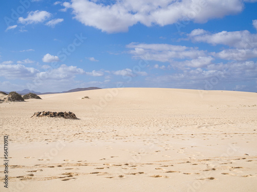 sand dunes in park