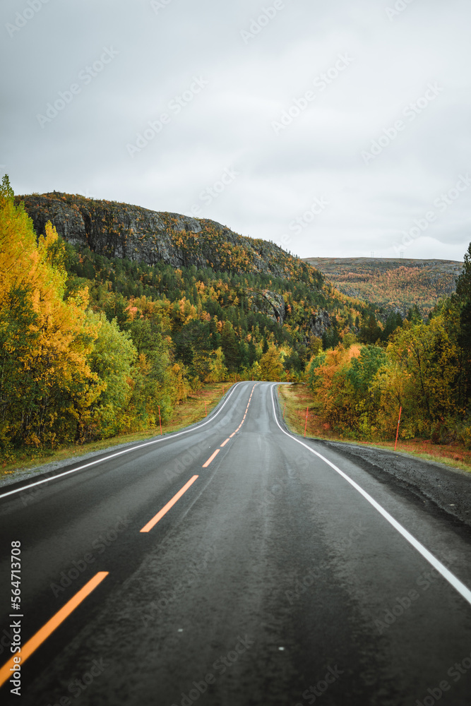Empy road with landscape view in autumn Norway on a moody day Empy road with landscape view in autumn Norway on a moody day